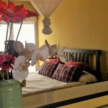 公寓 Wake Up With The Sea! Enjoy Private Pool!